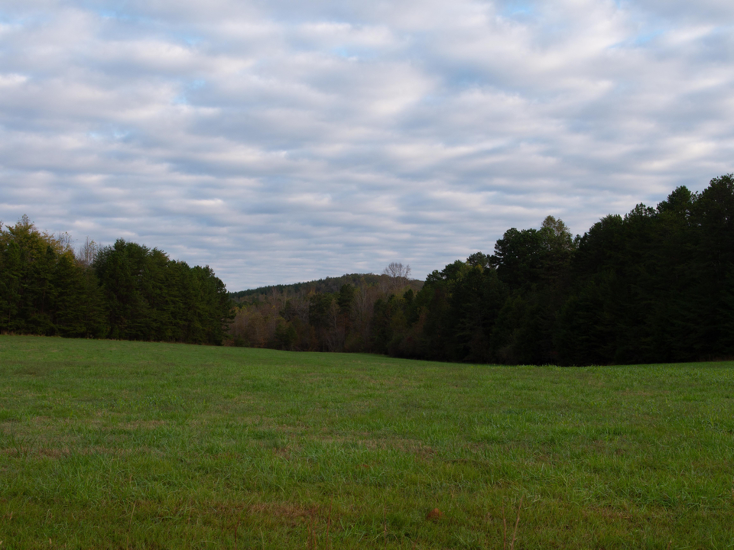 An image depicting the trail Bates Trail and its surrounding area.