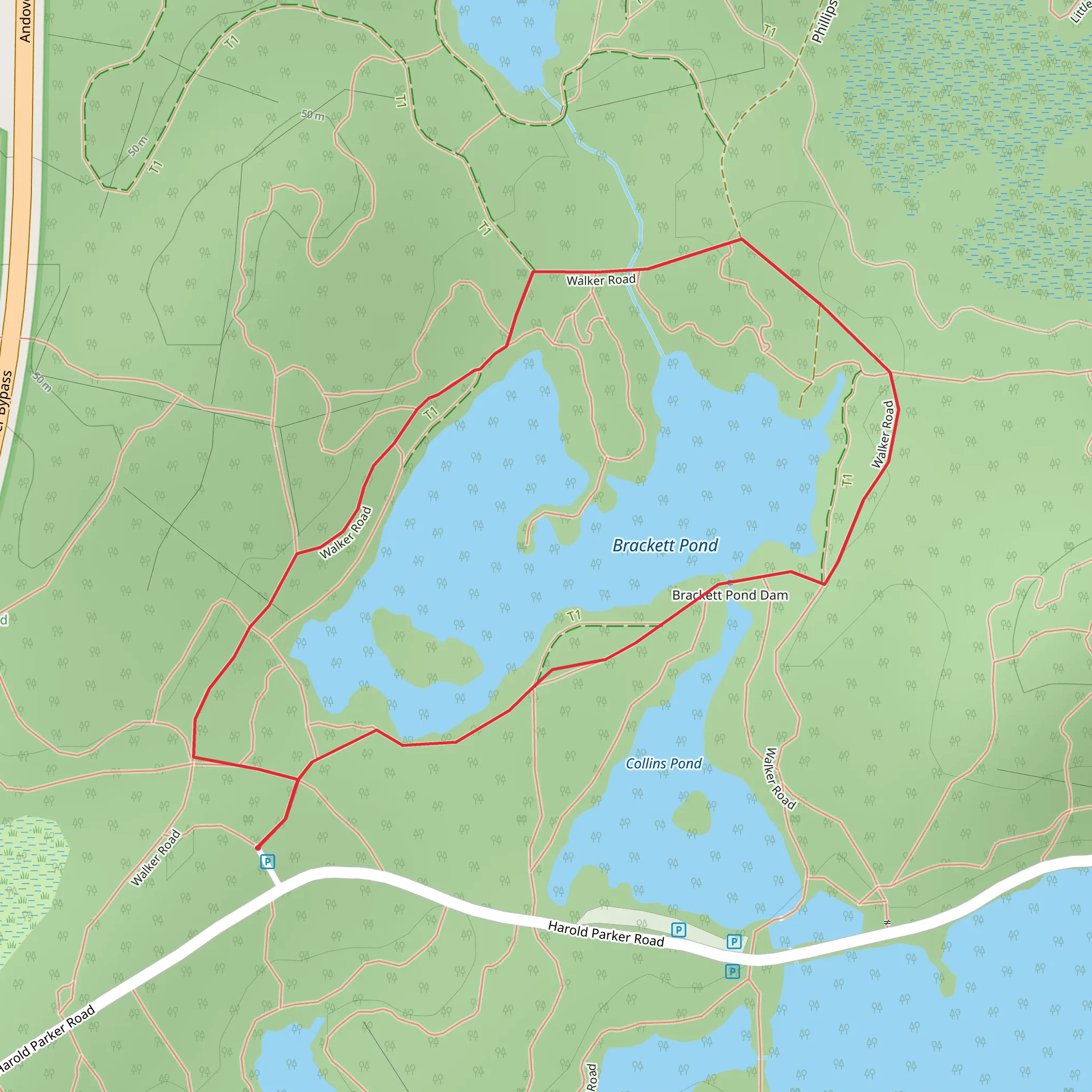 Brackett Pond Loop mobile static map