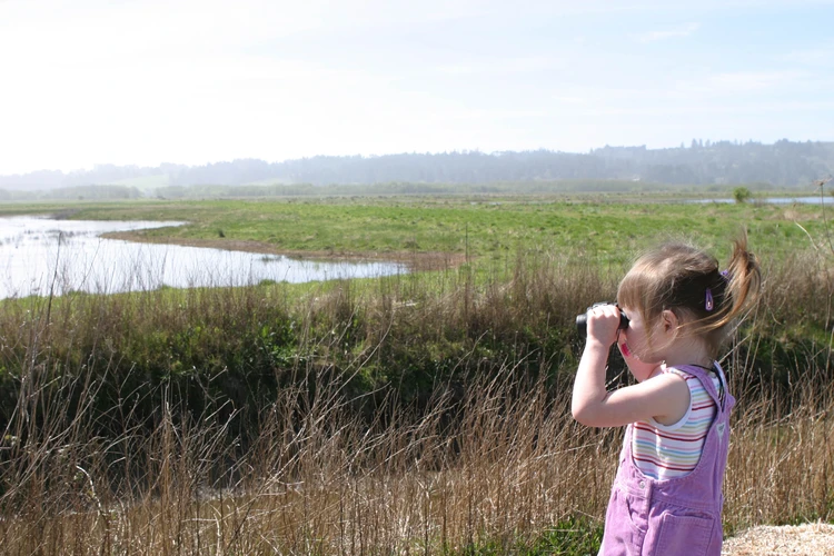 Shorebird Loop Trail