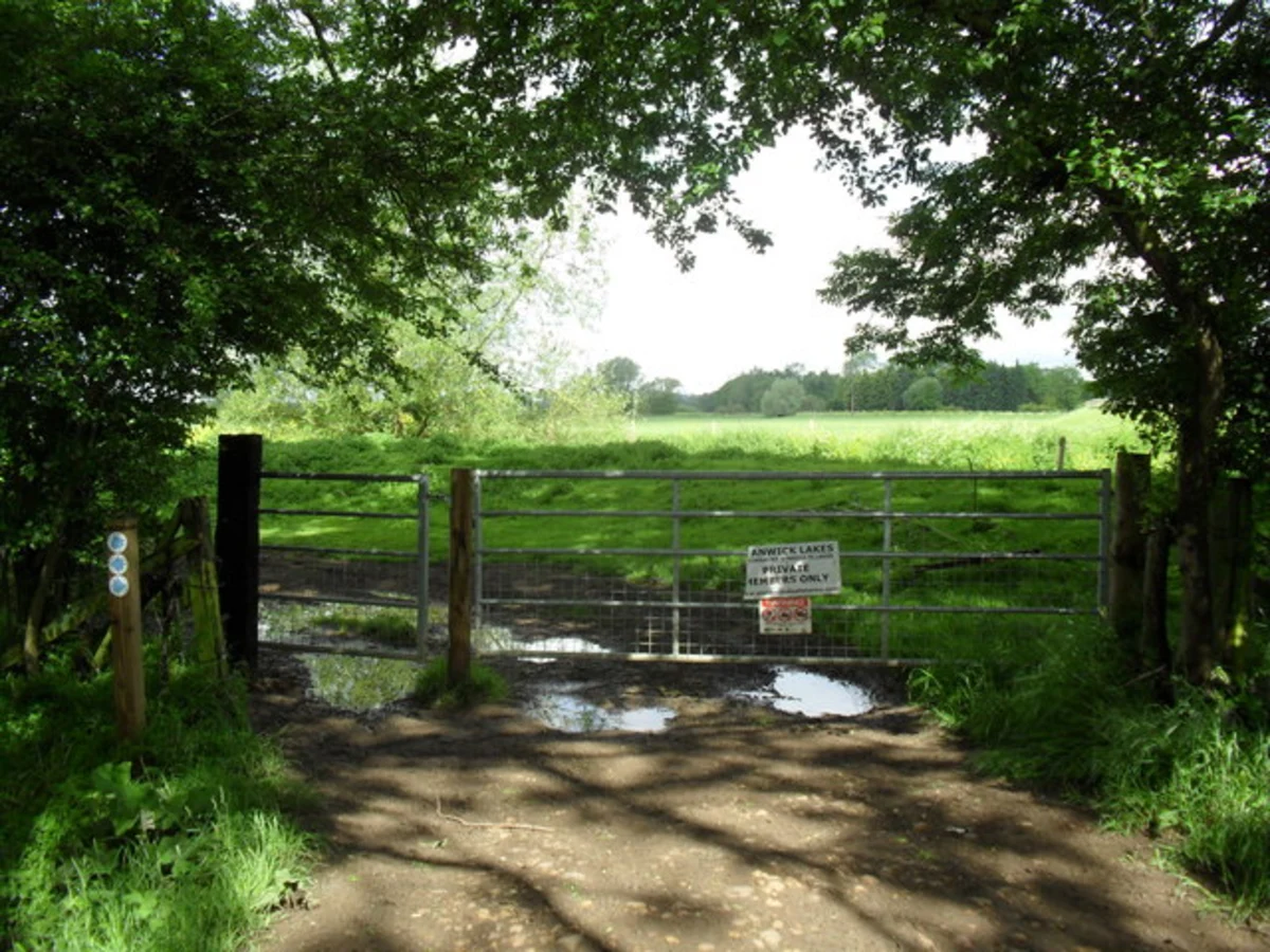 Upton Country Park and Kislingbury Syndicate Lake