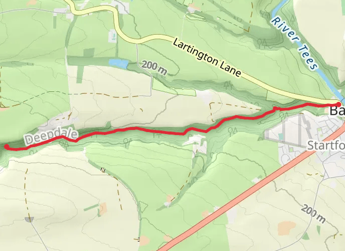 The Stone Face in Deepdale Woods mobile static map