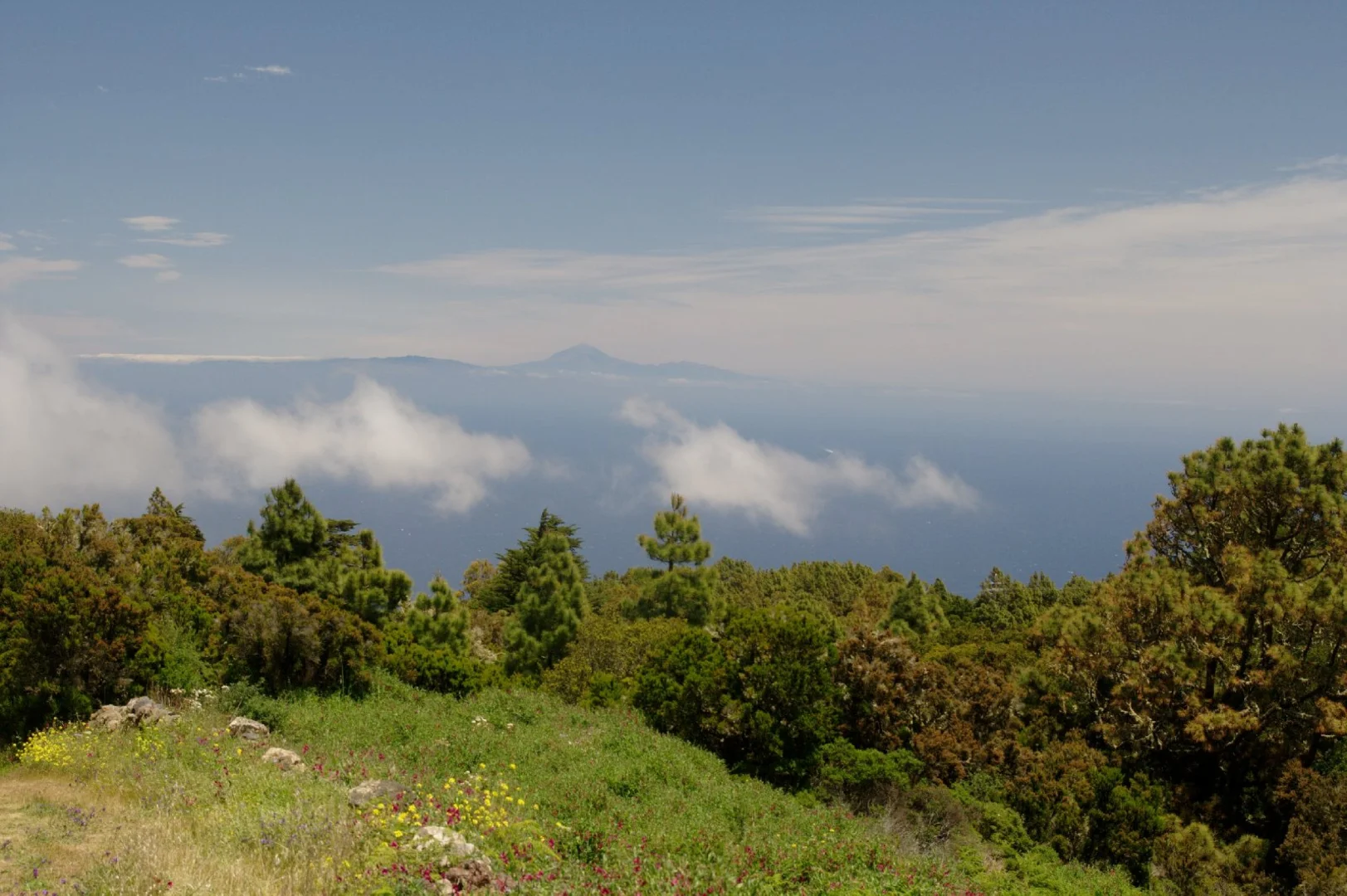 An image depicting the trail El Portillo to Aguamansa Walk via GR 131 and its surrounding area.