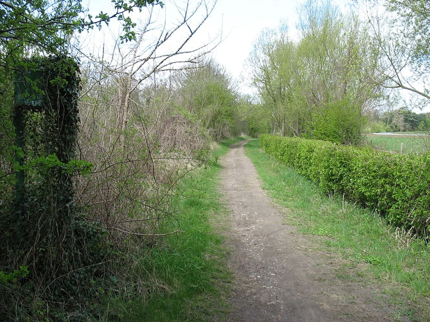 An image depicting the trail Dorney Reach and Taplow Walk and its surrounding area.