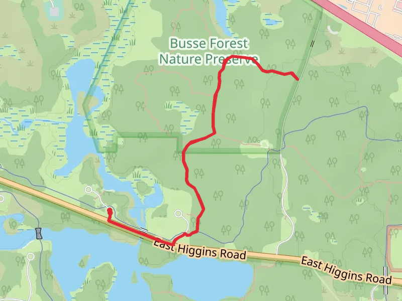 Busse Forest Trails from East Higgins Road