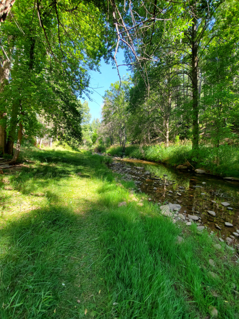 An image depicting the trail Derrick Trail and its surrounding area.