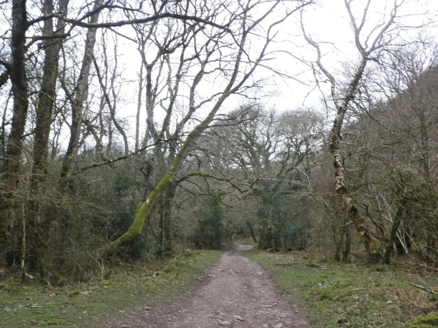 An image depicting the trail Horner Woods - Exmoor Stroll and its surrounding area.