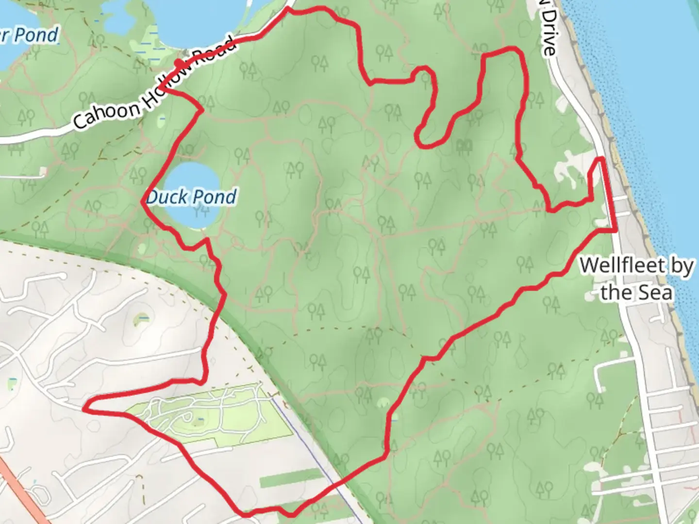 An image depicting the trail Great Pond and Duck Pond Loop and its surrounding area.