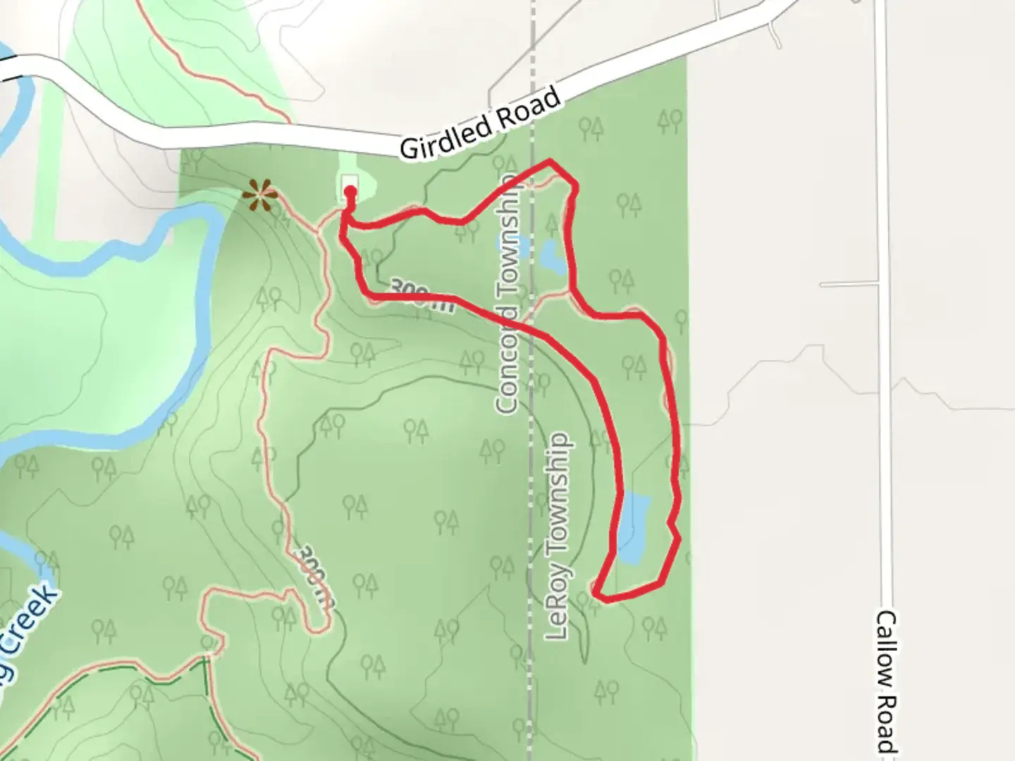 An image depicting the trail Surveyor's Woods Loop Trail and its surrounding area.