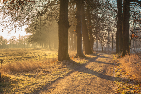 De Borgstee, Huis De Duinen and Friesche Veen Loop