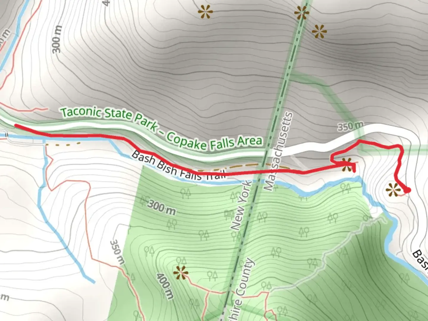 An image depicting the trail Bash Bish Brook Out and Back and its surrounding area.
