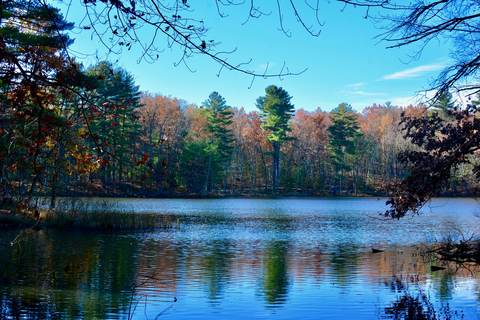An image depicting the trail Haggetts Pond via Bay Circuit Trail and its surrounding area.