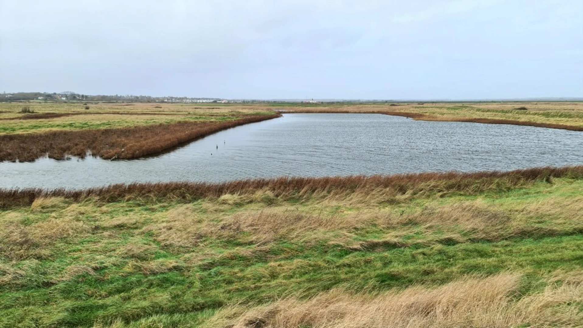An image depicting the trail Tollesbury Loop and its surrounding area.