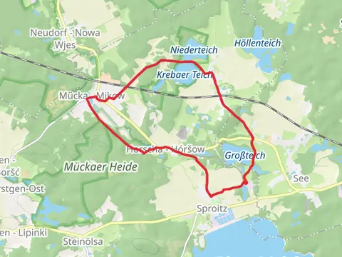 Krebaer Teich and Niederteich via Rundweg Petershainer Teiche