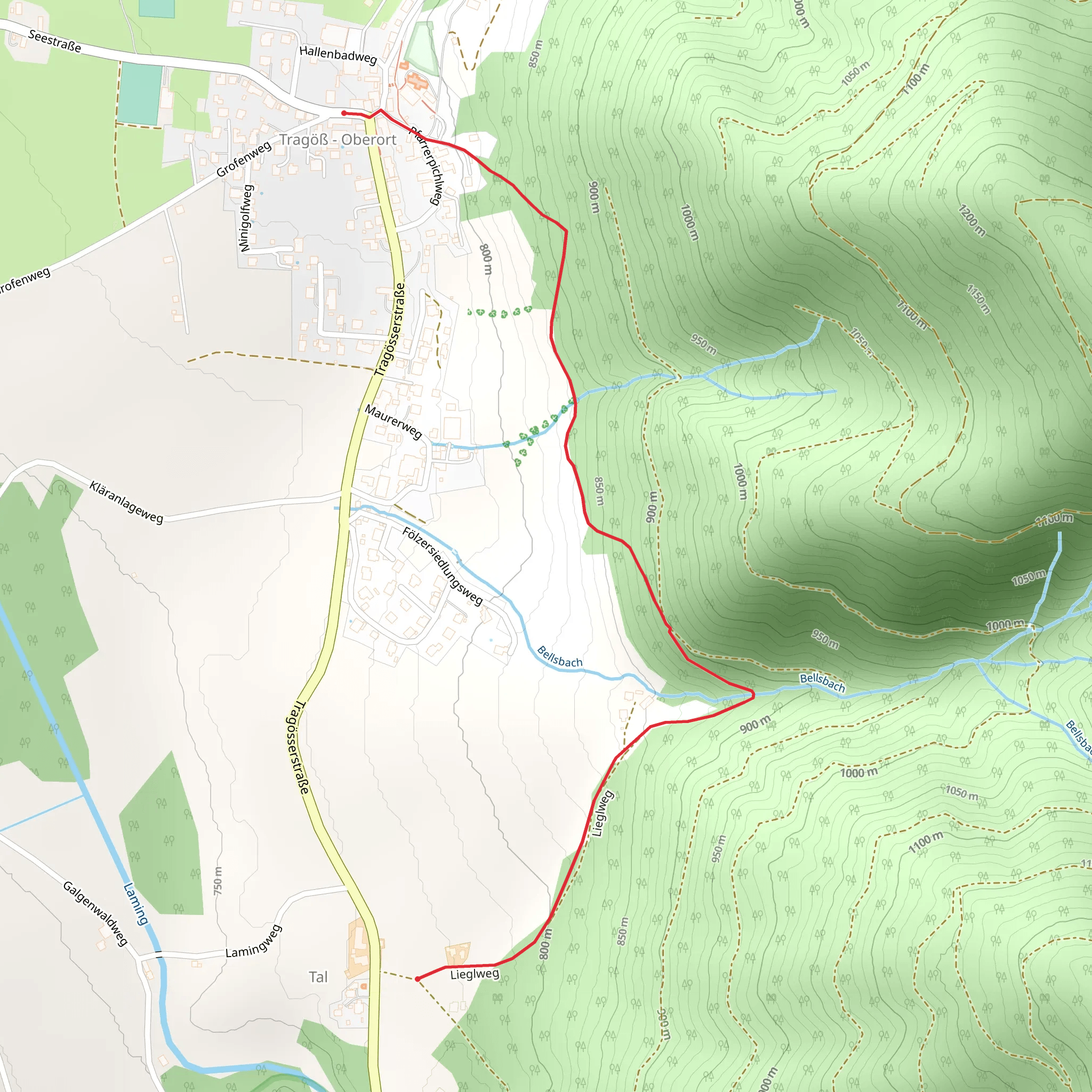 Lieglsteig mobile static map