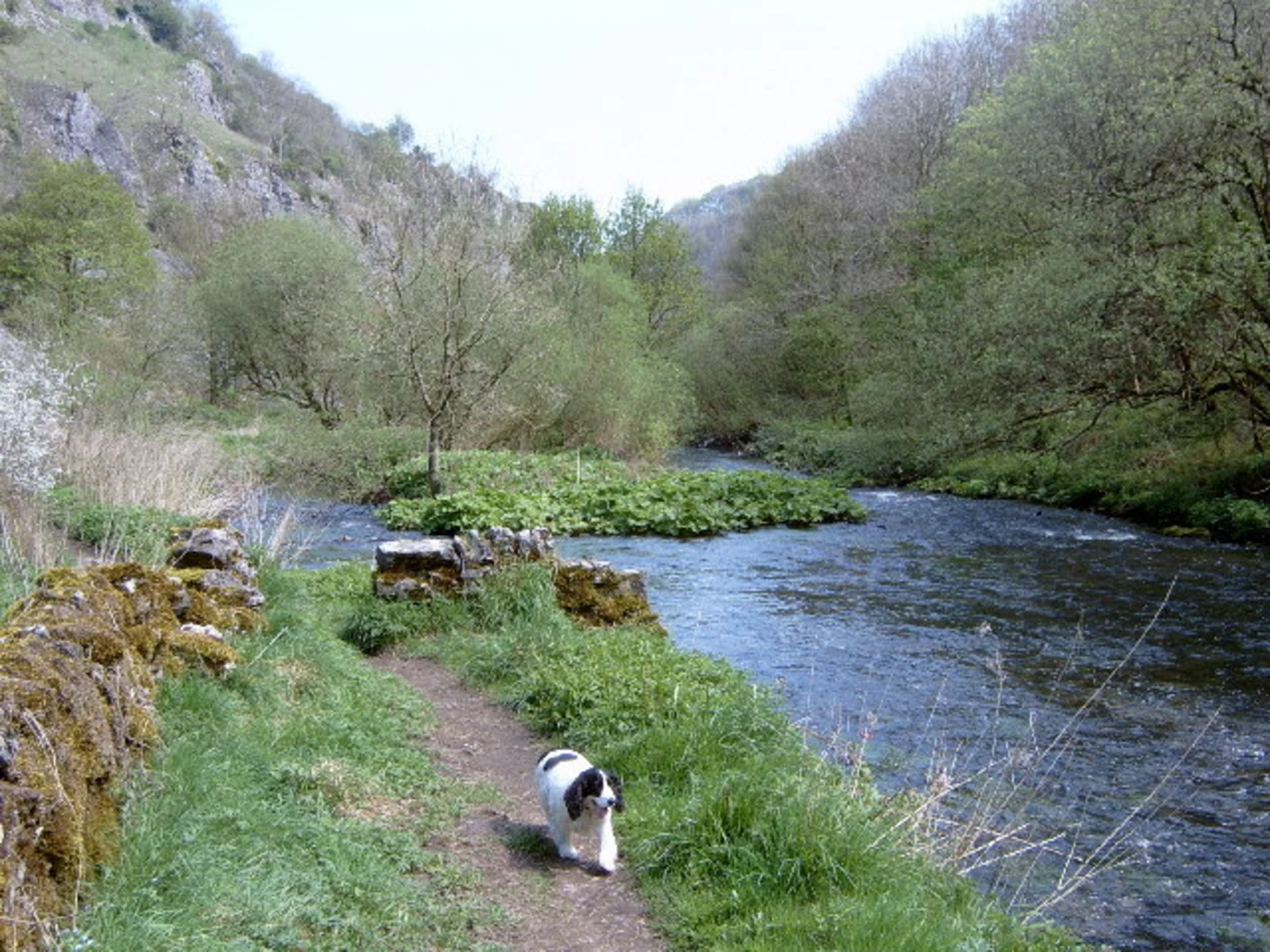 An image depicting the trail Chee Dale Walk via Monsal Trail and its surrounding area.