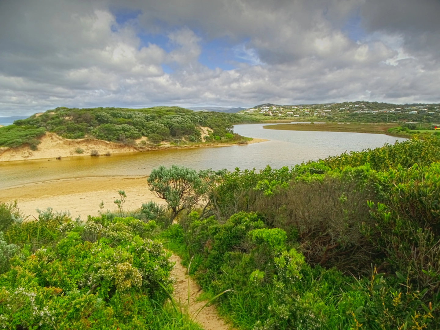 An image depicting the trail Aireys Inlet Cliffs Trail and its surrounding area.