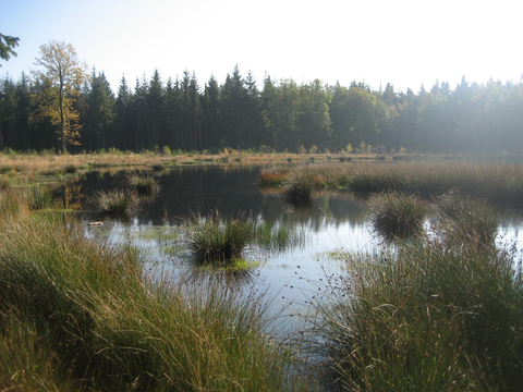 Gerwensedreef, Papenvoortsche Heide and Zandbergen Loop
