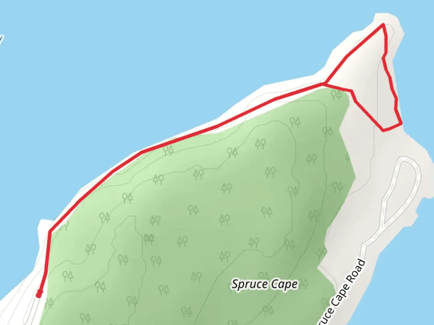 An image depicting the trail Spruce Cape Trail and its surrounding area.
