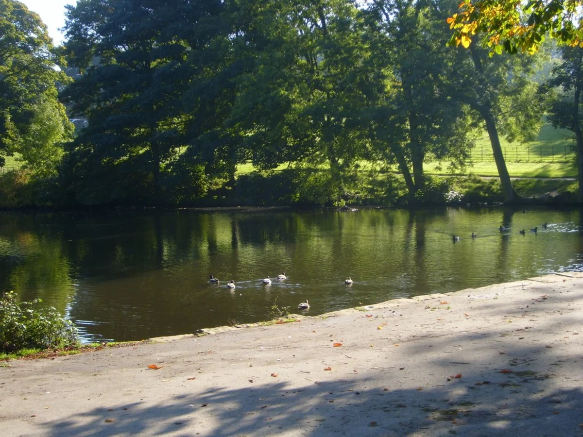 Elmdon Park Lake Loop
