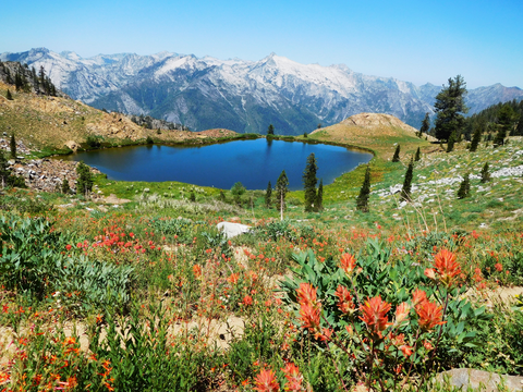 An image depicting the trail Seven Up Peak via Long Canyon Trail and its surrounding area.