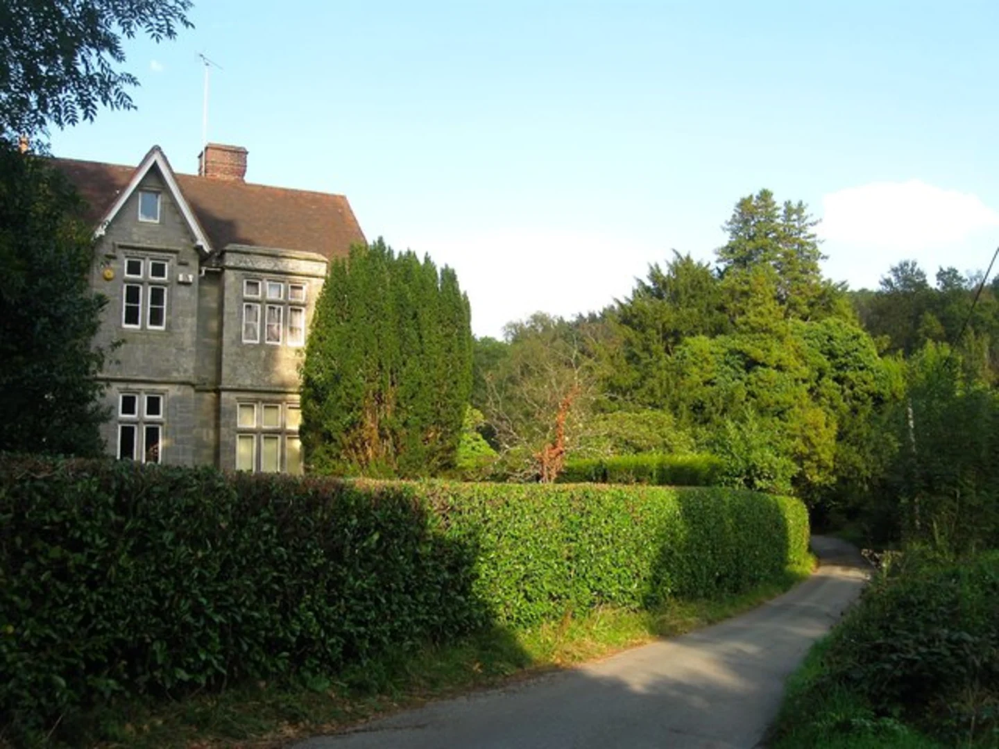 An image depicting the trail Wykehurst Corner Loop and its surrounding area.