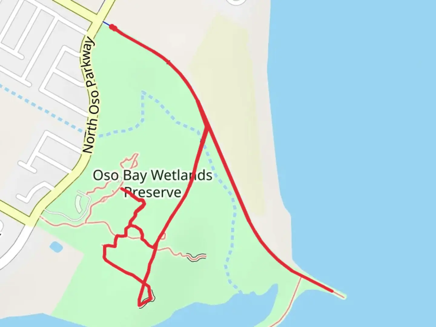 An image depicting the trail Oso Bay Wetlands Preserve and its surrounding area.