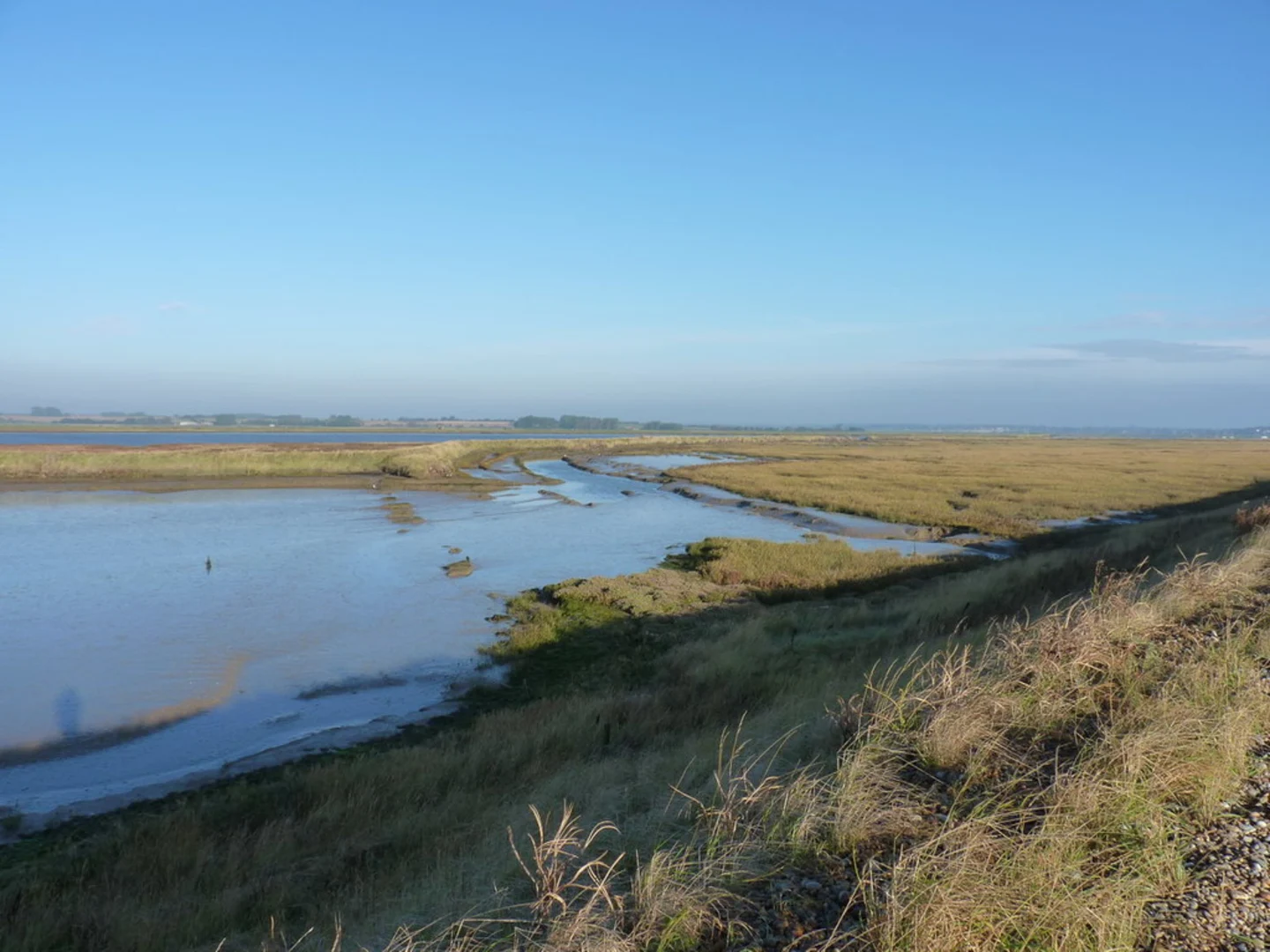 An image depicting the trail Orford, Chillesford and Slaughden Loop and its surrounding area.