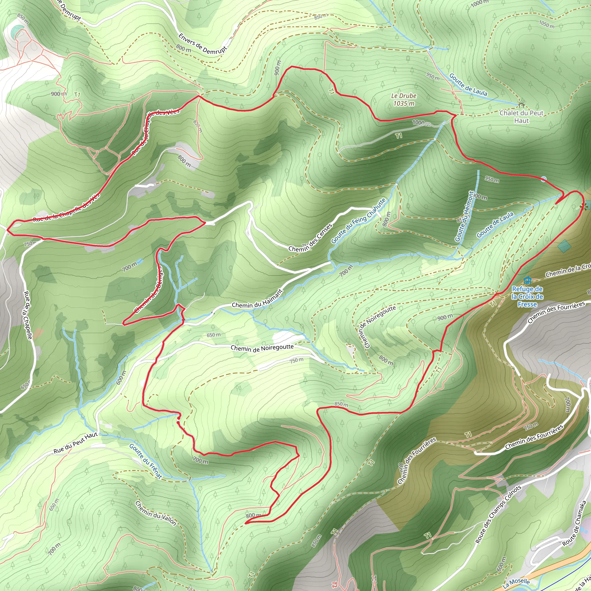 Naturpark Ballons des Vosges - Moselle de Fresse mobile static map