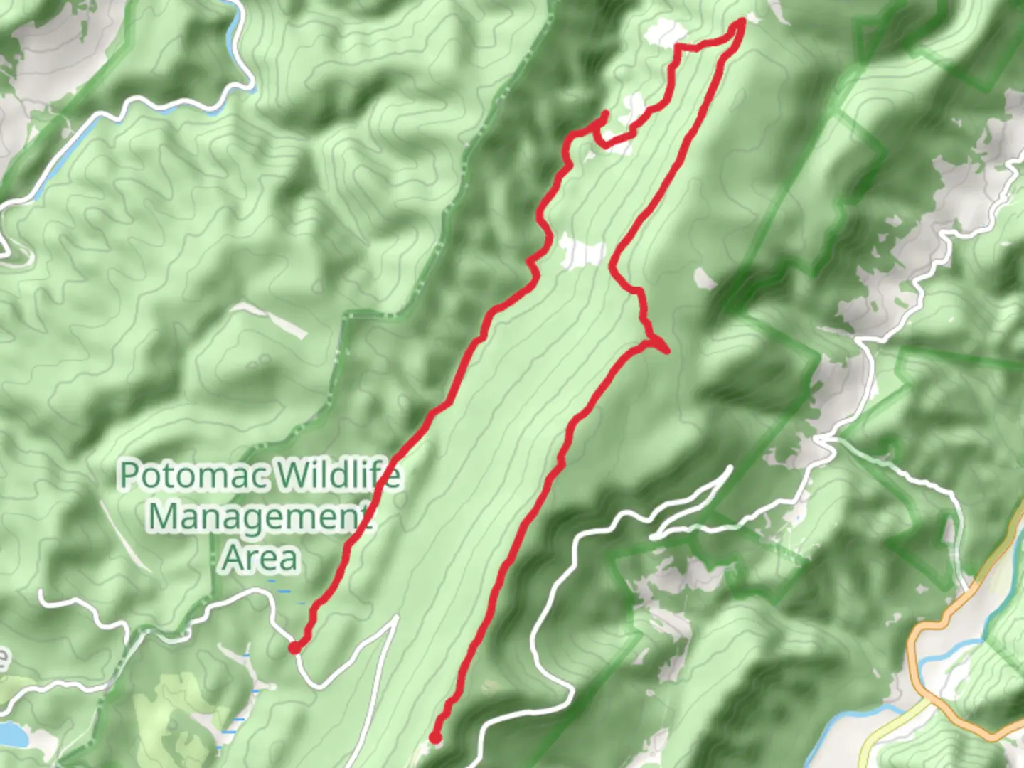 An image depicting the trail Huckleberry, High Meadows and Seneca Creek Trail and its surrounding area.