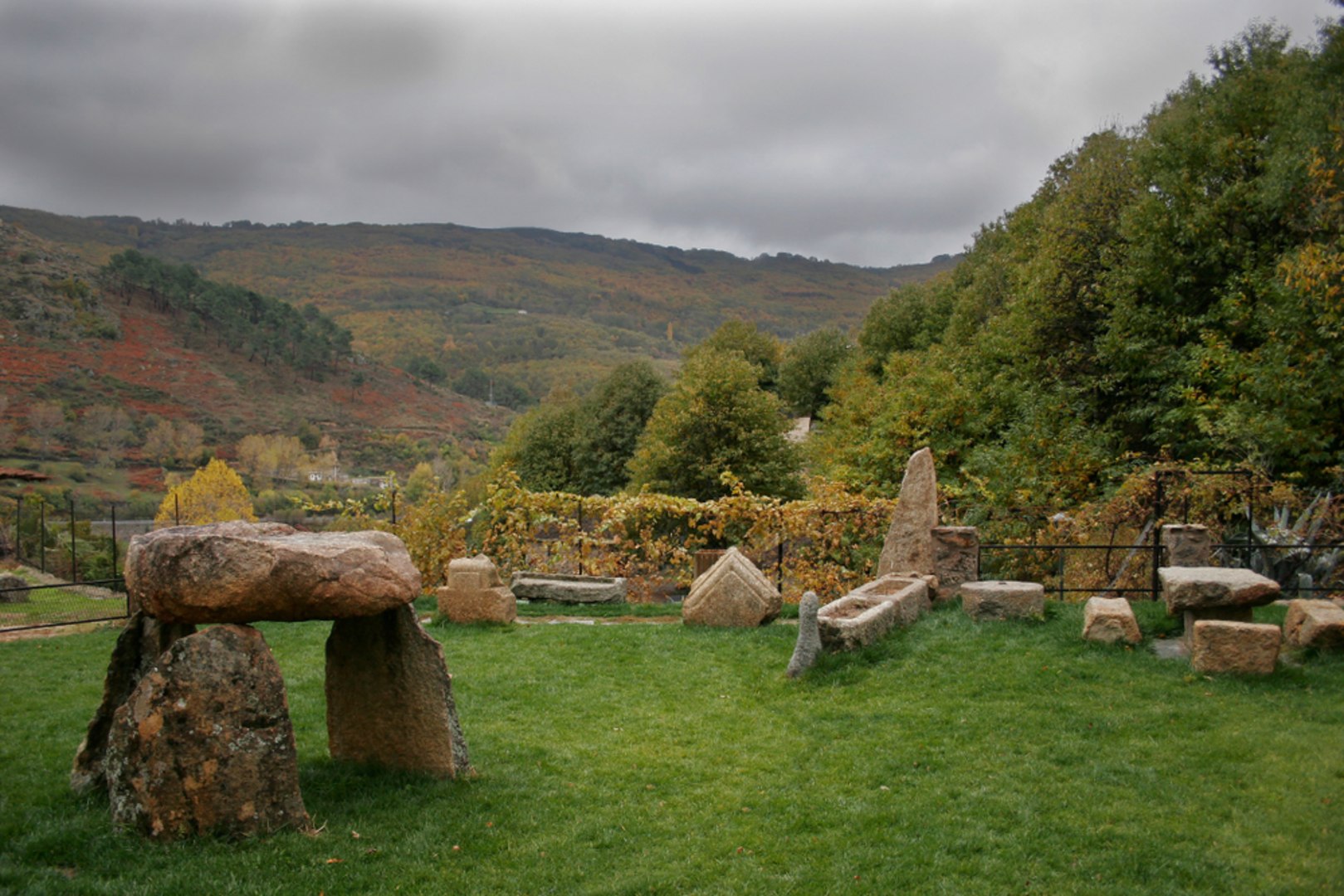 An image depicting the trail Baños Swamp PR CC 40 and its surrounding area.