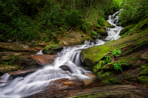 Roaring Fork Falls Trail