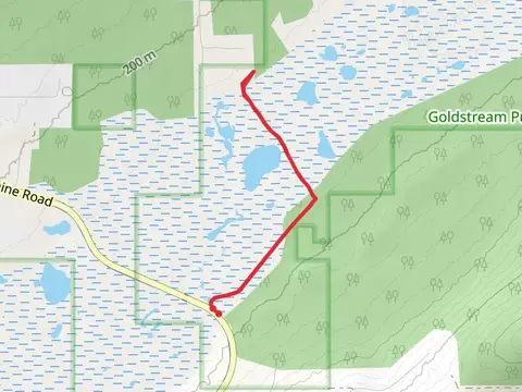 Winter Goldstream Trail Network
