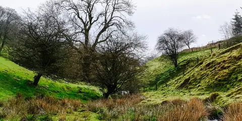 An image depicting the trail Libanus to Lloyney Walk and its surrounding area.