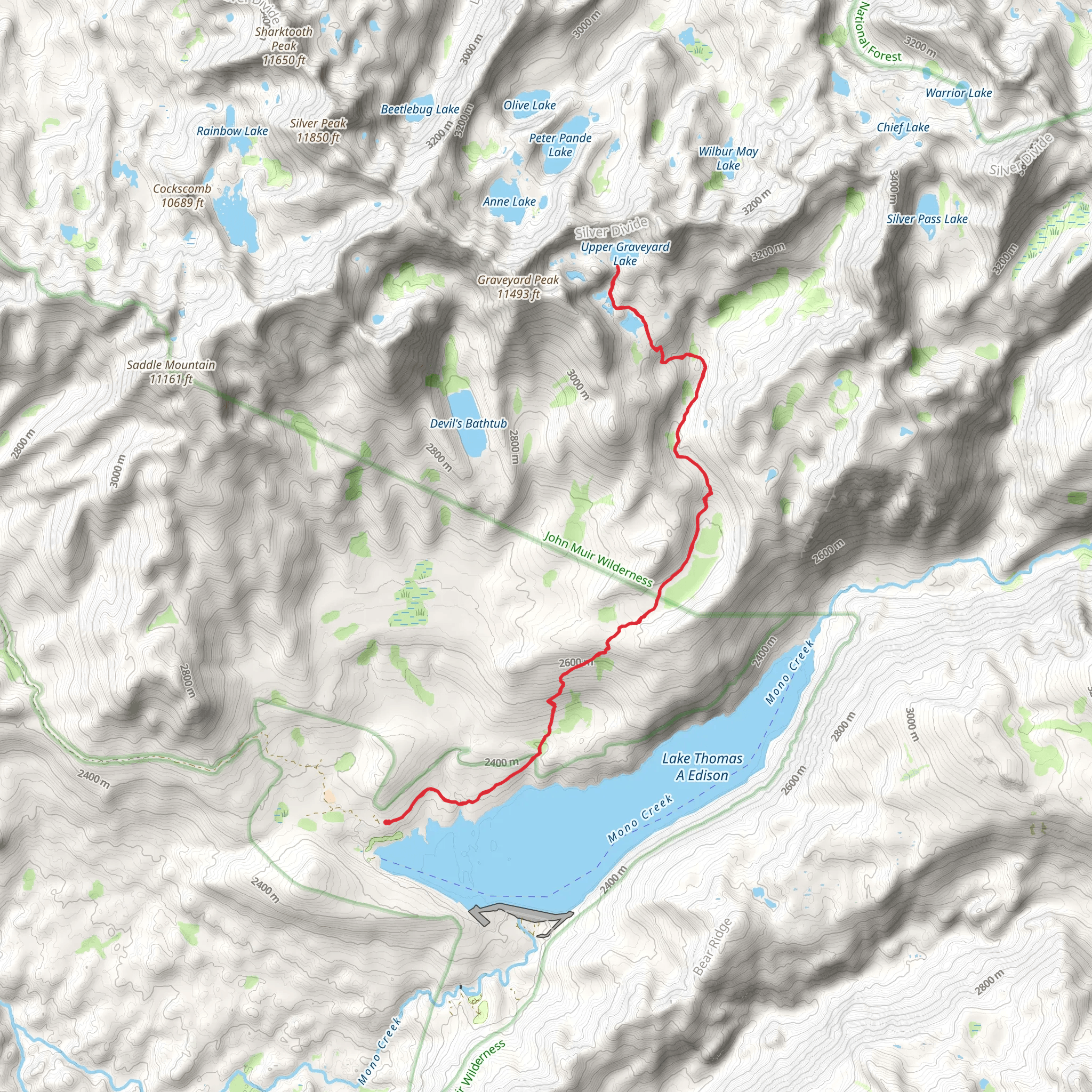 Graveyard Lakes via Goodale Pass Trail mobile static map