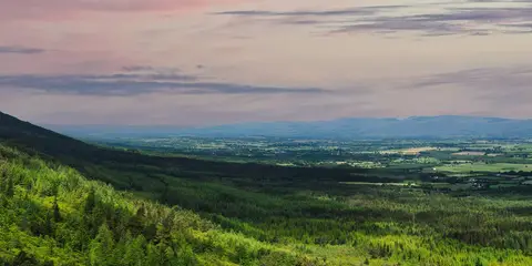 An image depicting the trail Birchhill Loop and its surrounding area.