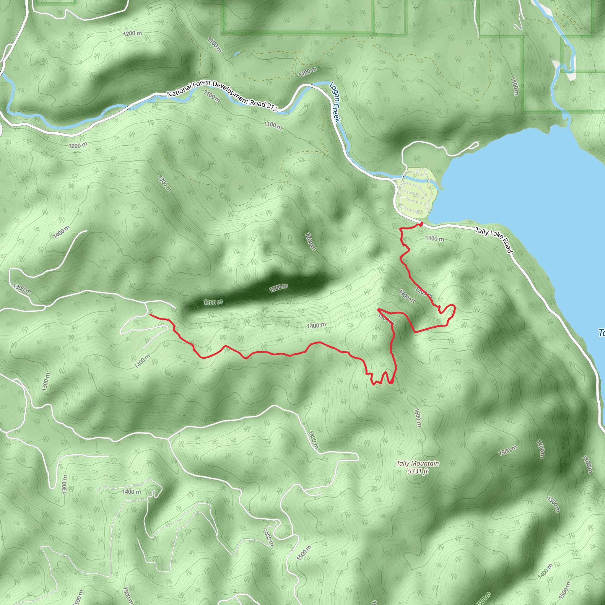 Tally Gorge Trail via Tally Ashley Trail mobile static map