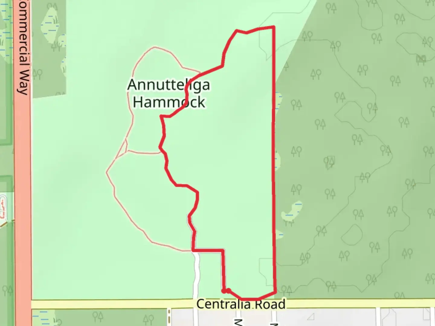 An image depicting the trail Annutteliga Hammock Loop - East and its surrounding area.