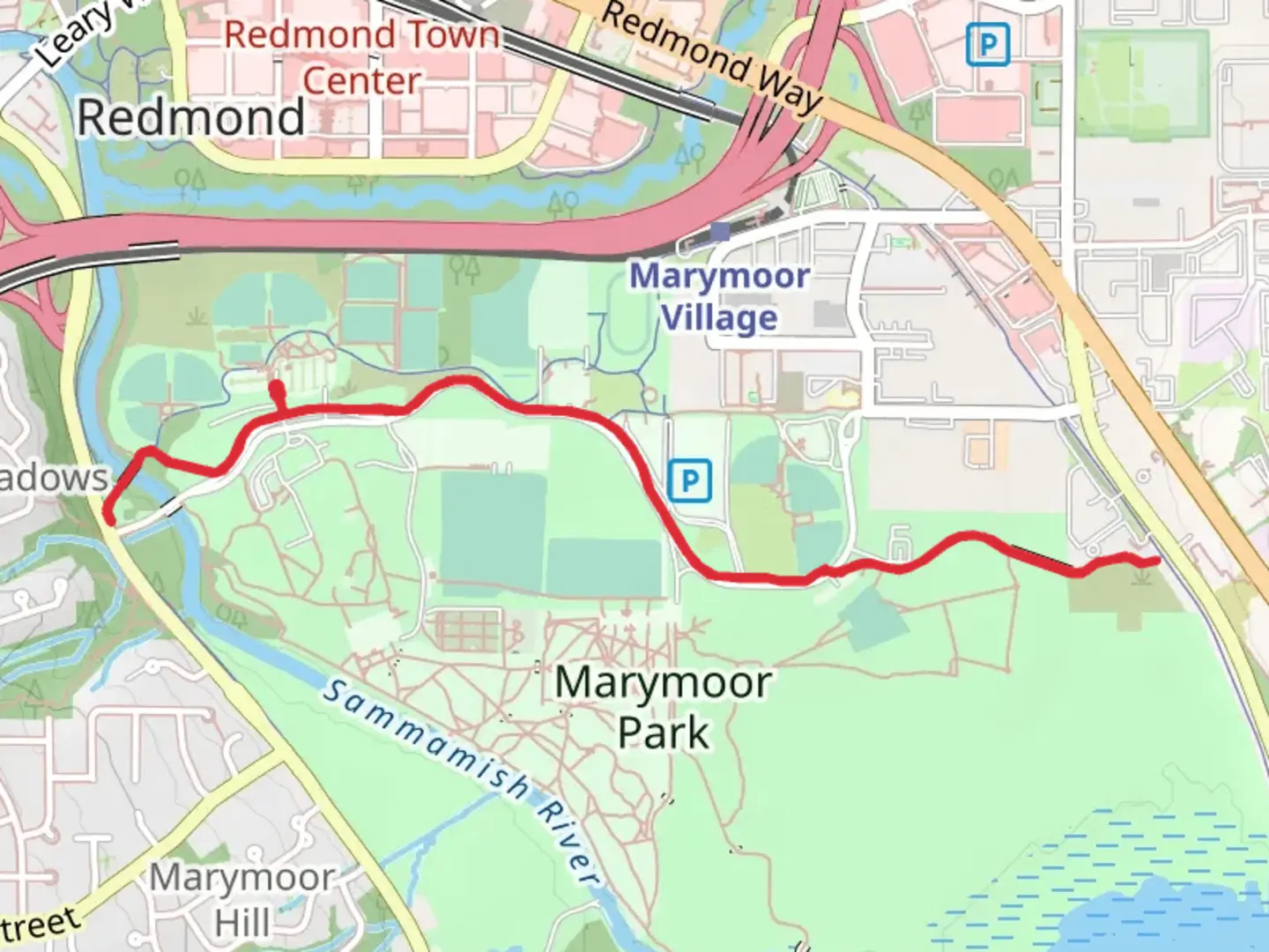An image depicting the trail Marymoor Connector Trail and its surrounding area.