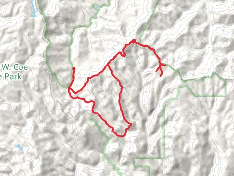 Mustang Peak, Raven Pond, Purple Pond and Dutch's Loop Trail