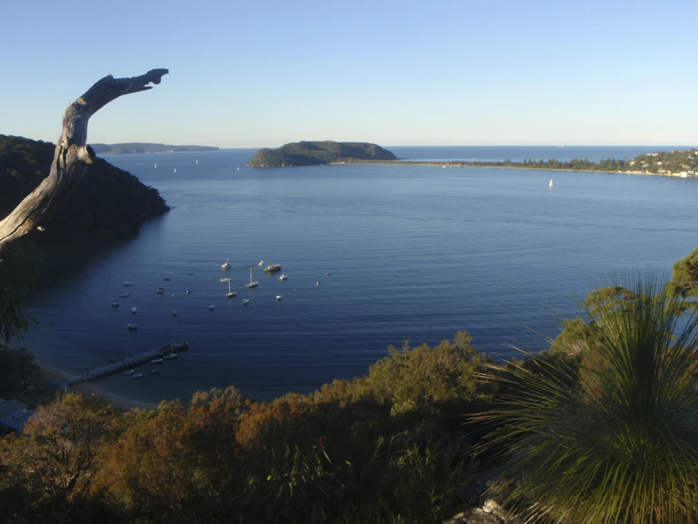 An image depicting the trail The Basin Track and Mackerel Track and its surrounding area.