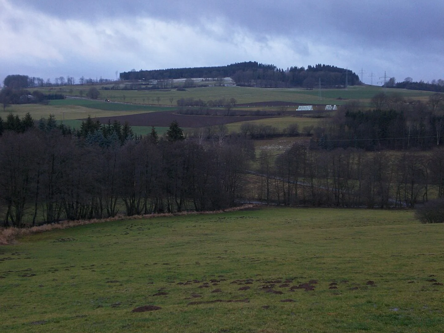 An image depicting the trail Pfälzer Waldpfad and its surrounding area.