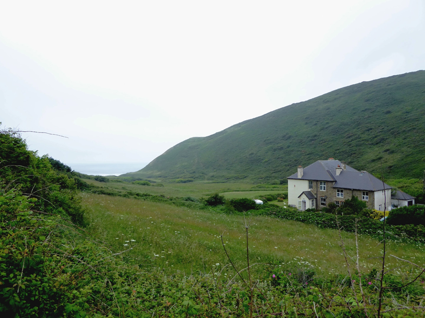 An image depicting the trail Welcombe Mouth Beach Loop and its surrounding area.