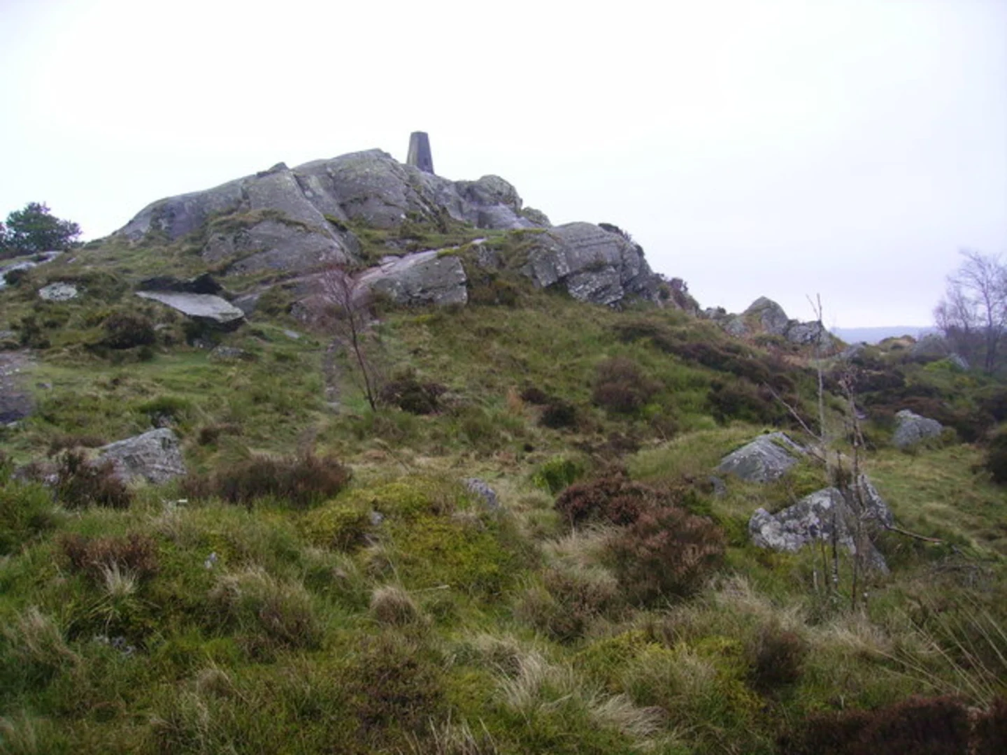 An image depicting the trail Park Plantation, Carron Crag, Mires Wood and Grizedale Forest Loop and its surrounding area.