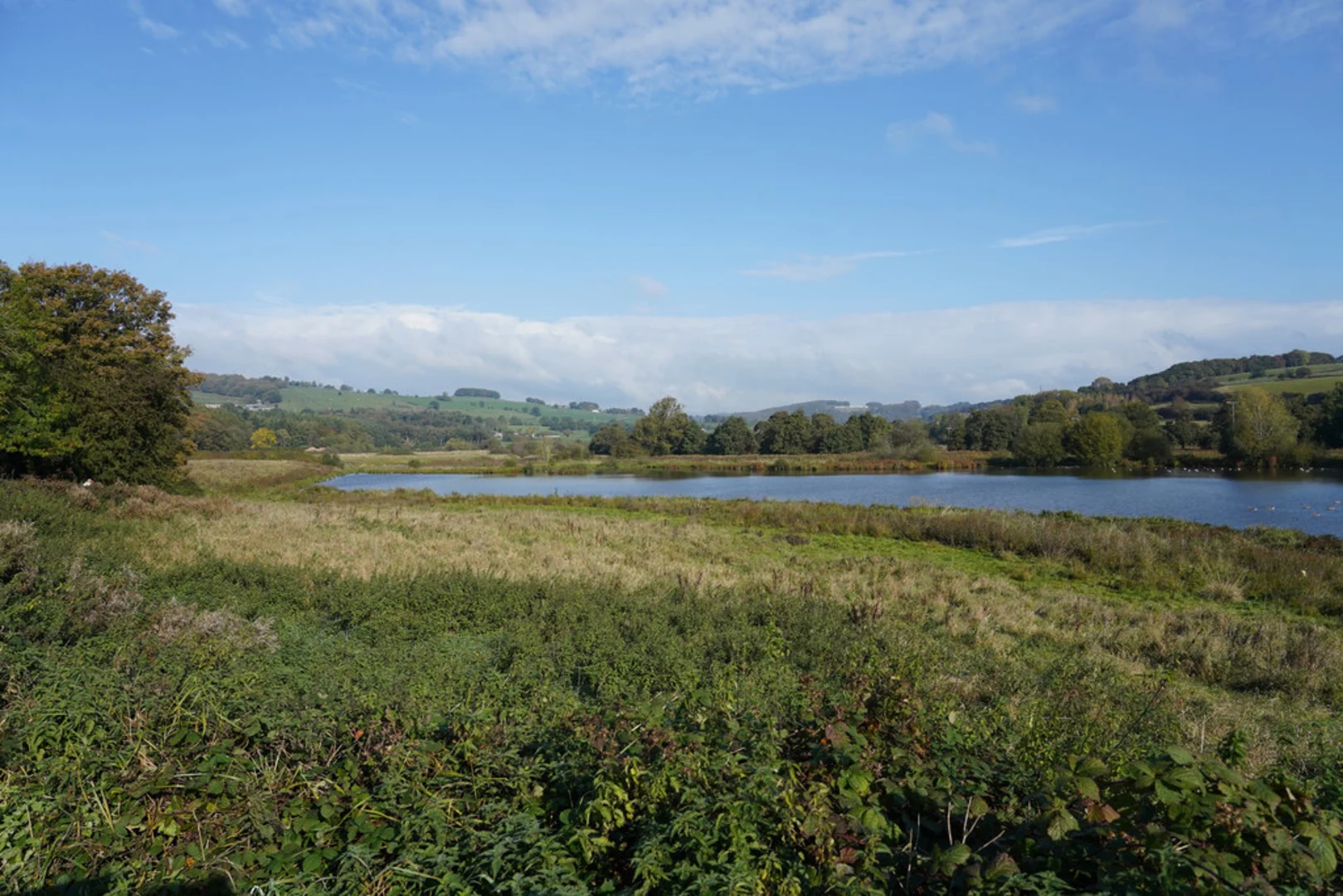 An image depicting the trail Belper, Wyver Lane Pool and Blackbrook Loop and its surrounding area.
