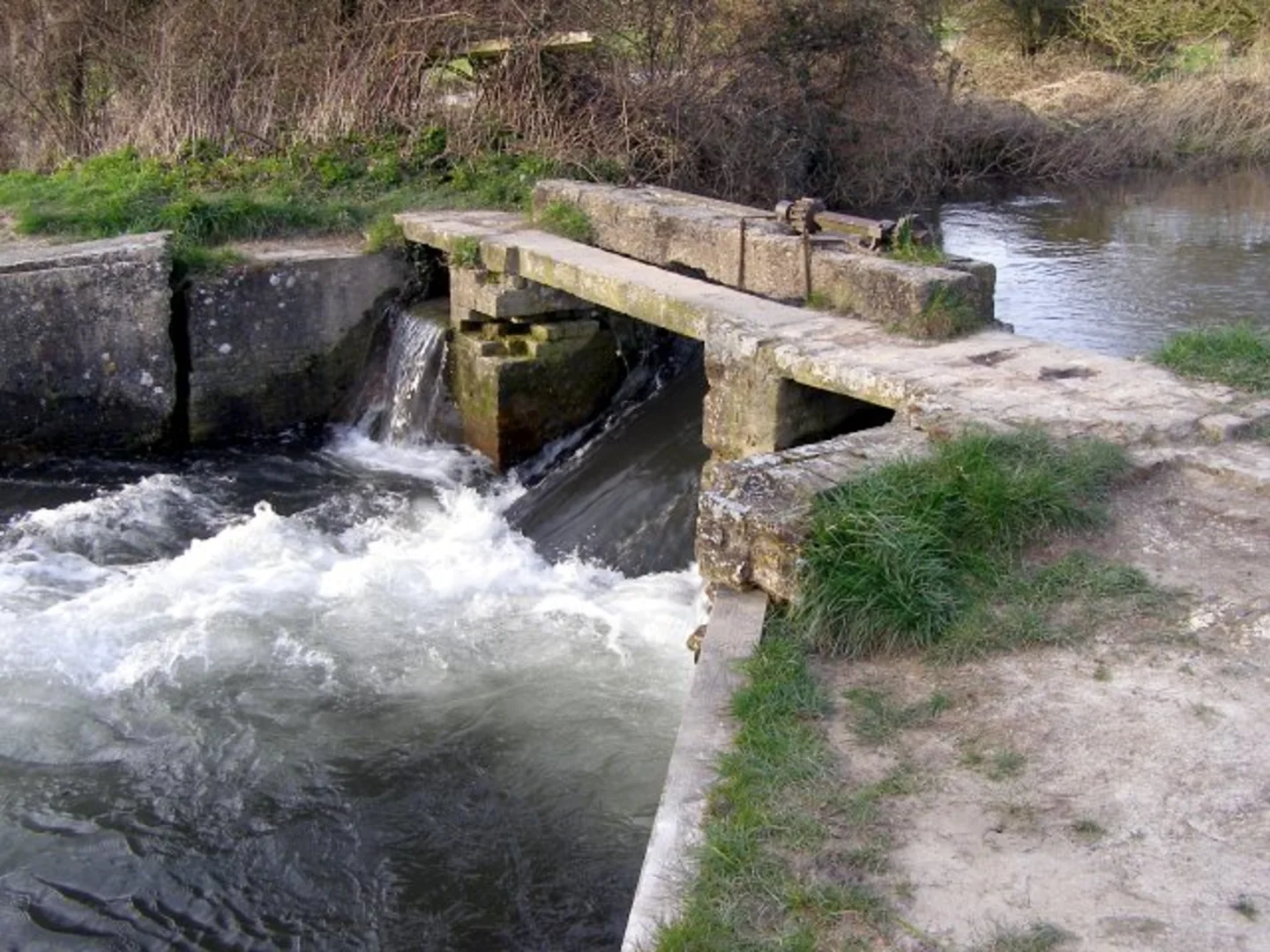 An image depicting the trail Hockley Meadows Nature Reserve and Saint Catherins's Hill Nature Reserve Loop and its surrounding area.