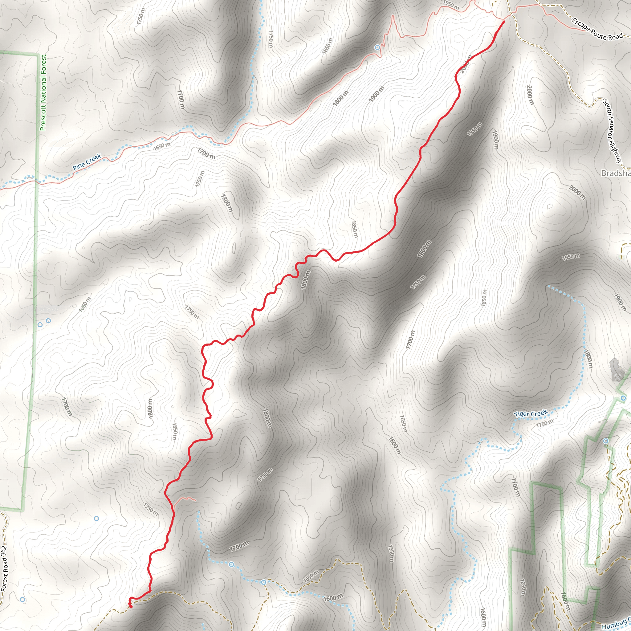 Minni Trails mobile static map