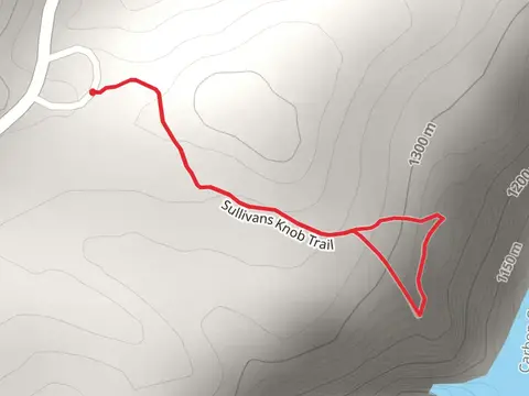 Sullivans Knob Loop Trail