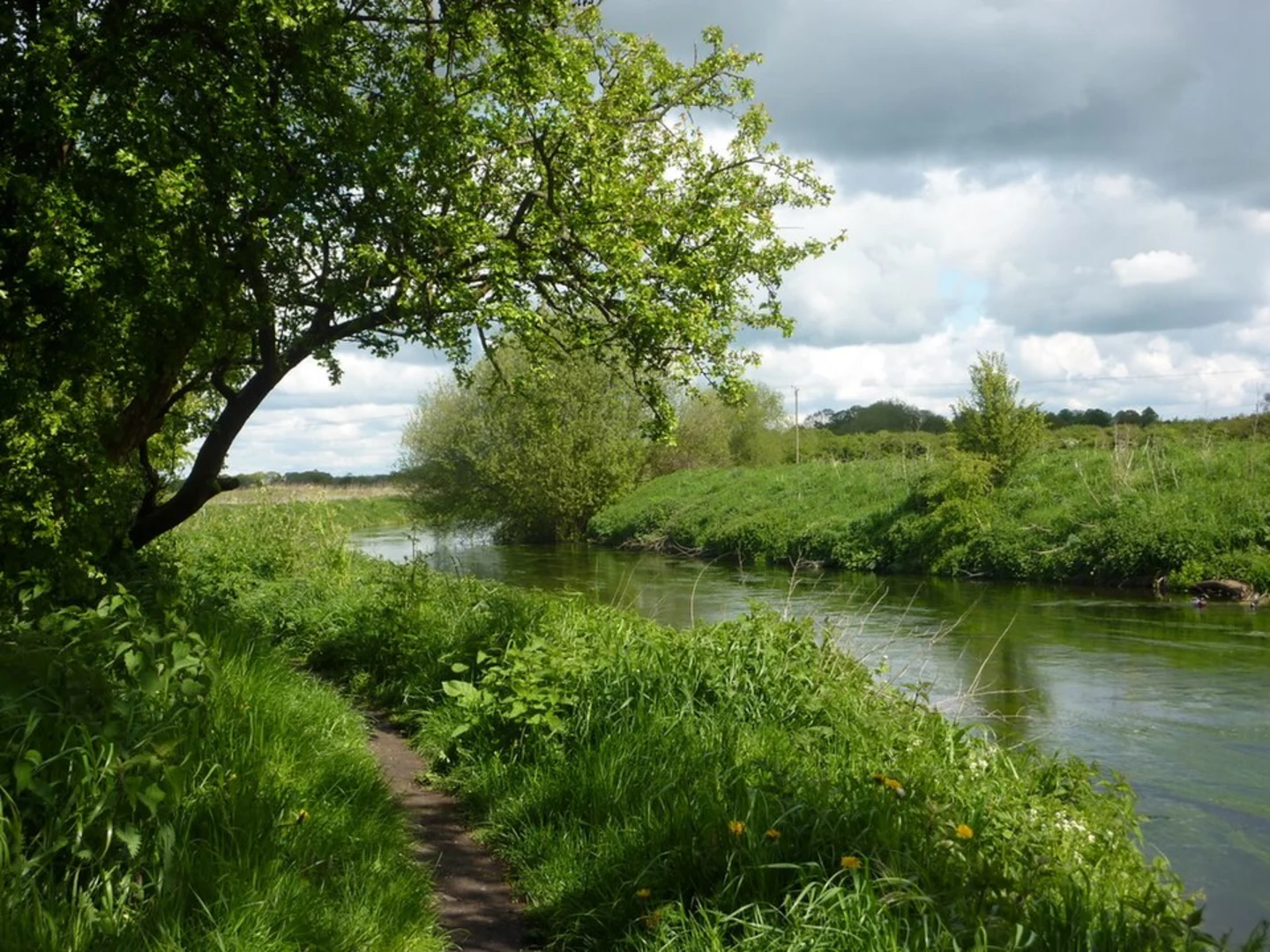 An image depicting the trail Regatta Lake Loop from Radcliffe and its surrounding area.