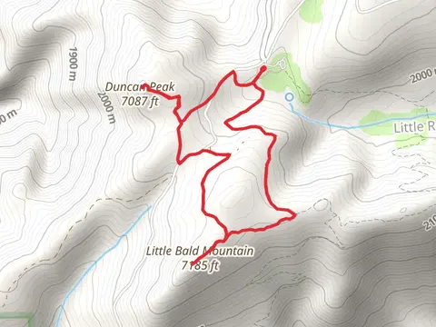Little Bald Mountain and Duncan Peak Loop via Duncan Trail