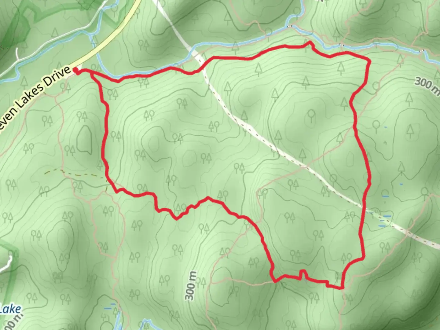 An image depicting the trail Pine Meadow Trail and Reever Brook Trail Loop and its surrounding area.